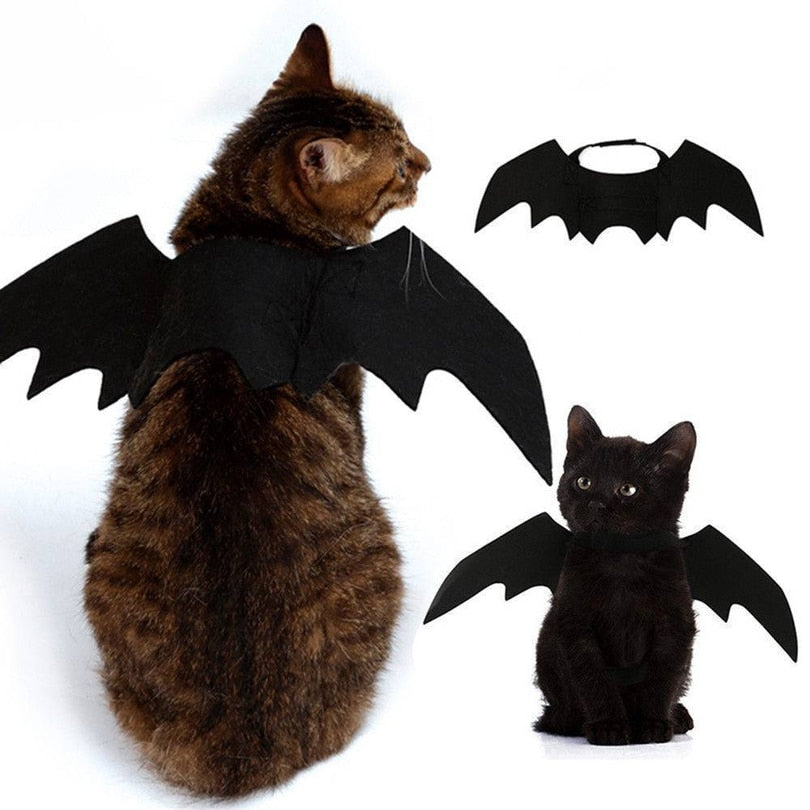 Bat Wing Cat Costume — Mysterious & Cool Halloween Pet Accessory