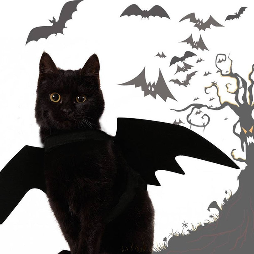 Bat Wing Cat Costume — Mysterious & Cool Halloween Pet Accessory