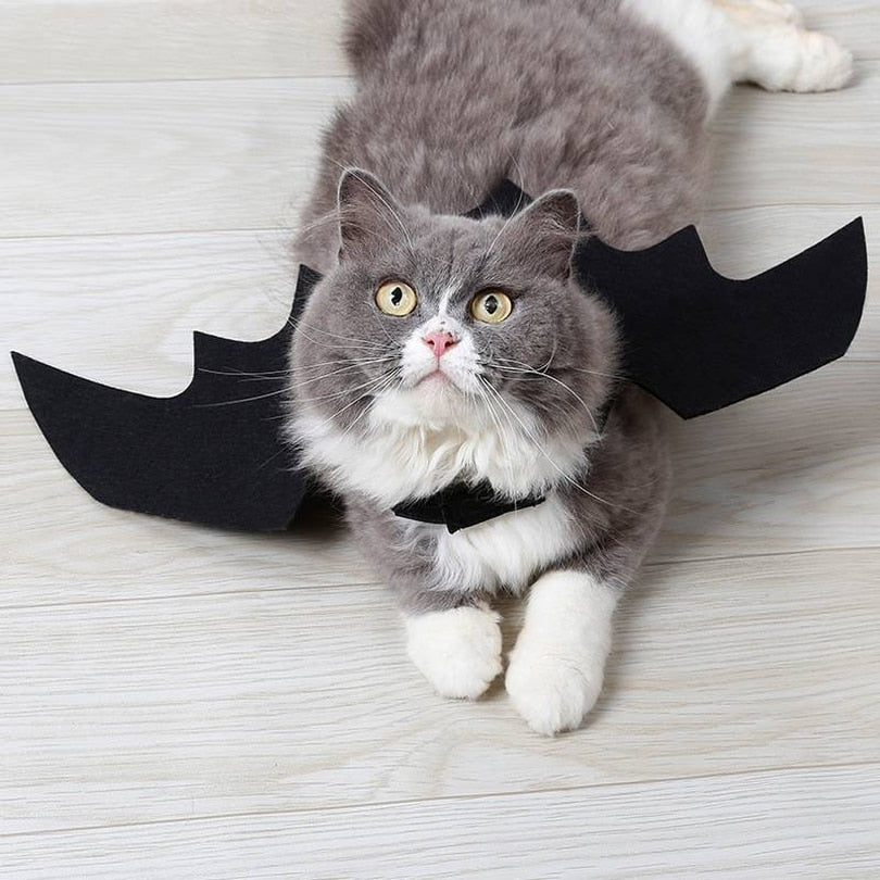 Bat Wing Cat Costume — Mysterious & Cool Halloween Pet Accessory