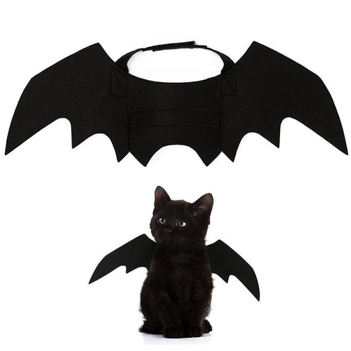 Bat Wing Cat Costume — Mysterious & Cool Halloween Pet Accessory